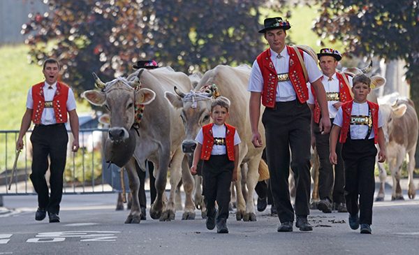 Traditionally dressed Swiss cattle farmers